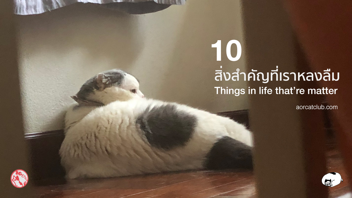 10 สิ่งสำคัญที่เราหลงลืม