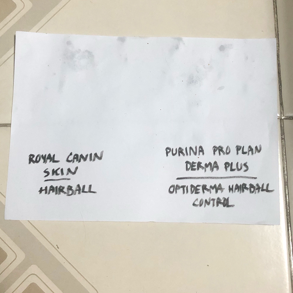 แมวชอบอะไรมากกว่า Royal Canin กับ Purina Pro Plan