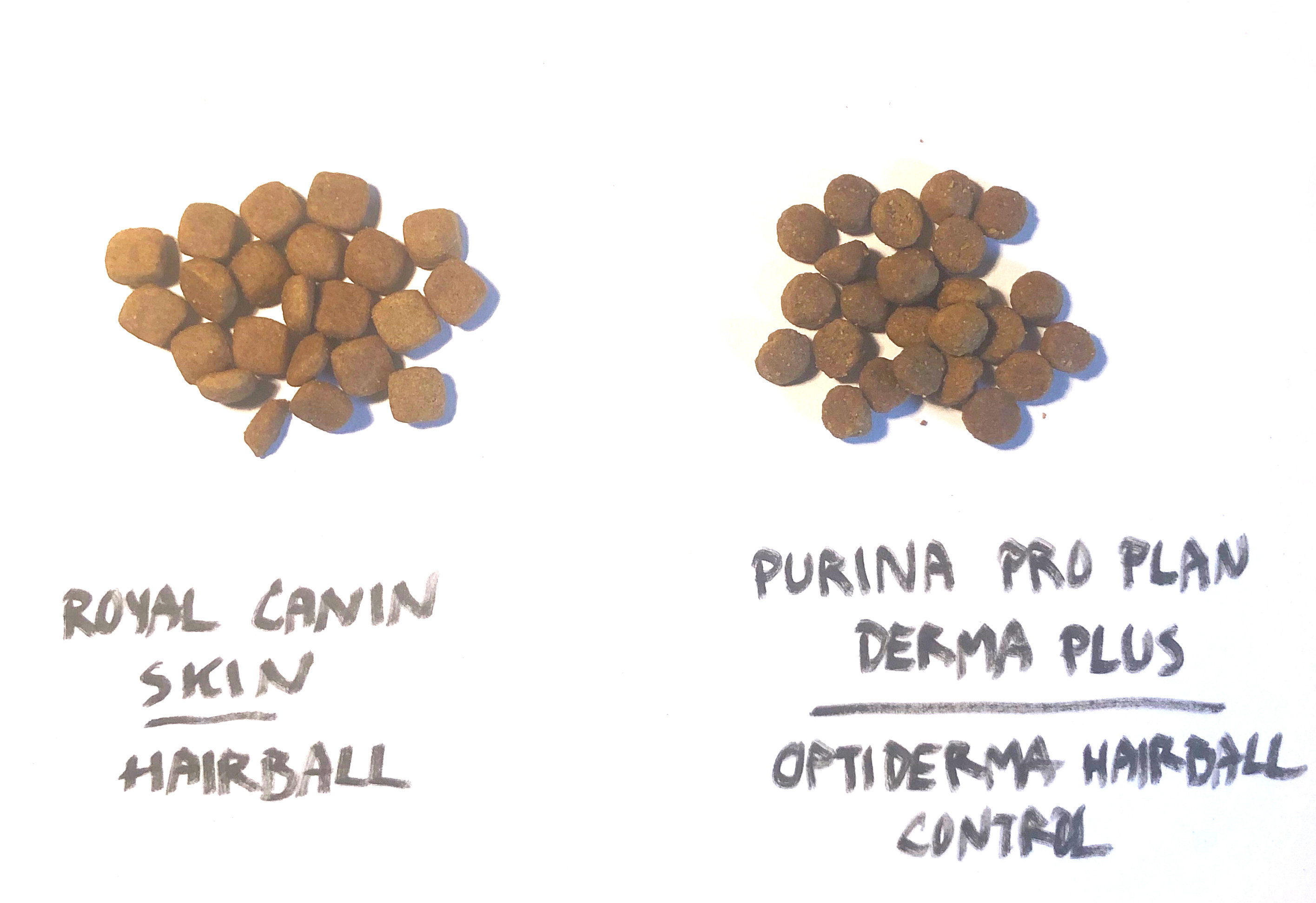 อาหารแมวสูตรแมวขนยาว