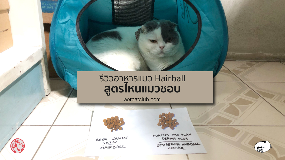 รีวิวอาหารแมว โดยแมว