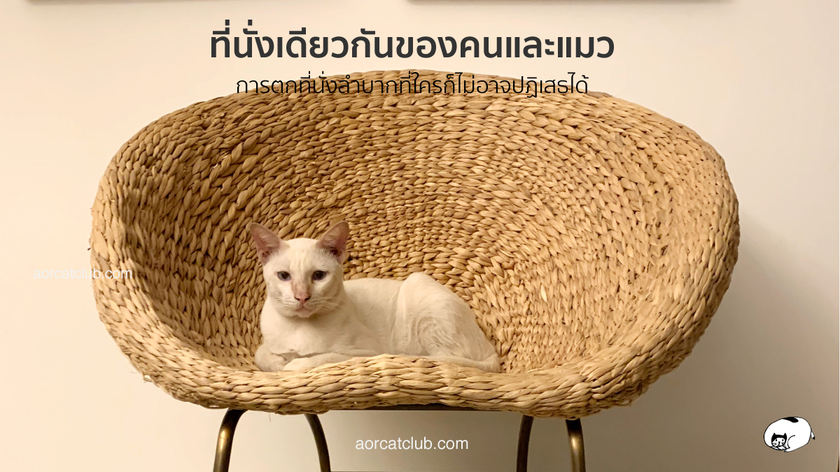 โควิด ทำคนตกที่นั่งลำบาก