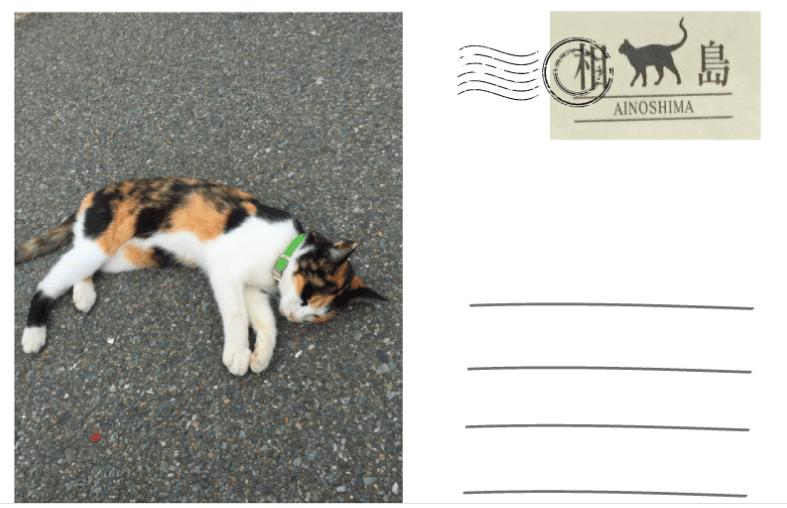 Ainoshima เกาะแมวในฟูกูโอกะ